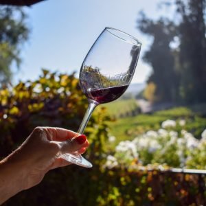 wine tour noleggio con conducente verona